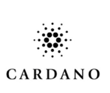 cardano blockchain coin project